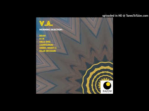 Illan Nicciani - Libertate și Democrație