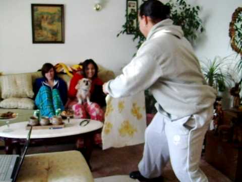 when the little dog attacks