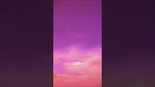 Britney Spears - Toxic (Lyrics)