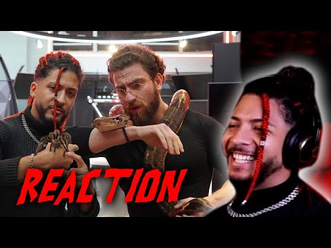 mit MOIS: Stell dich deiner Angst für einen McBook! 🕷️