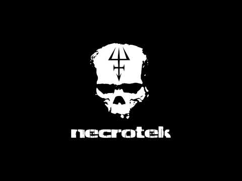 Necrotek - Back To The Grave (TERROR PUNK SYNDICATE REMIX)