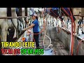 Veja Como é Feita A ORDENHA Das Vacas Leiteiras Extração Automática
