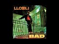 LL Cool J - 06 - .357 Break It On Down