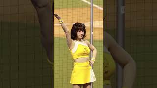 20250302日本火腿交流賽 峮峮の陳俊秀應援 #峮峮 #passionsisters #cheerleader #台湾チア