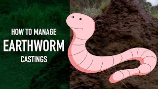 How to Manage Earthworm Castings