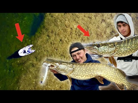 Glasklarer Waldsee VOLL mit Hecht + Ich beantworte EURE FRAGEN