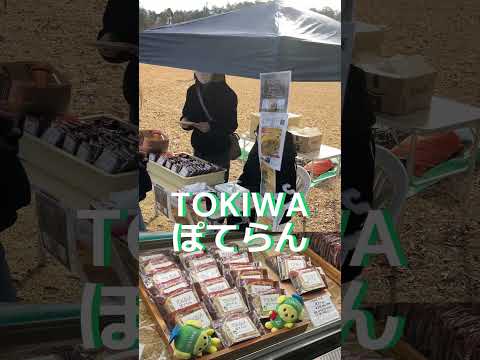 人間コミュニケーション学科 スポーツ捕食開発プロジェクト　 #常磐大学 #健康栄養学科 #大学生 #shorts