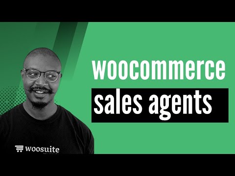WooCommerce B2B Sales Agent & Reps Plugin (2024)