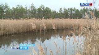 Рыбалка в брянском районе брянской области