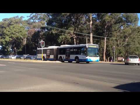 [Retired] STA Volvo B12BLEA Euro 3 Custom Coaches CB60 [1696] - Marsfield - Route 292