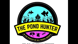The Pond Hunter Radio Podcast Ep.46 - How to De-Ice a frozen Koi Pond Water Garden.