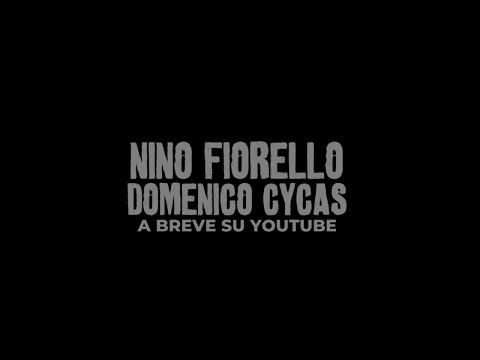 Nino Fiorello feat Domenico Cycas - Anteprima ufficiale