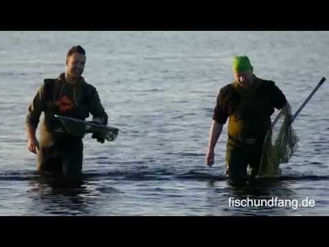 Matze Koch: Karpfen am Riesensee Teil 1/2 - Matzes Mätzchen 03-2016