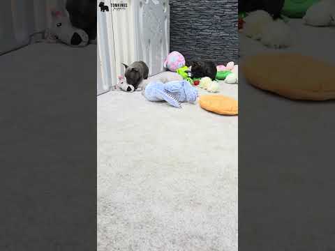 Video 5