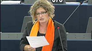 Gál Kinga felszólalása az EU új emberi jogi különleges képviselőjéről