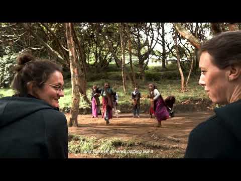 mountain gorilla trekking experiences in Uganda-Bwindi