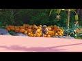Eggs Hatch Original Scene Beast Scream The Sea Beast