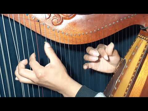 pajcha sirena    ARPA:MILDER palomino