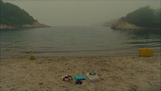 Le Temps de L&#39;amour -  Françoise Hardy