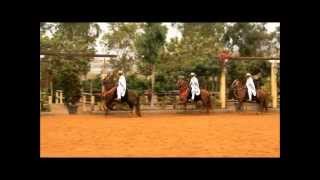 preview picture of video 'Peruvian Paso Horse Exhibition'