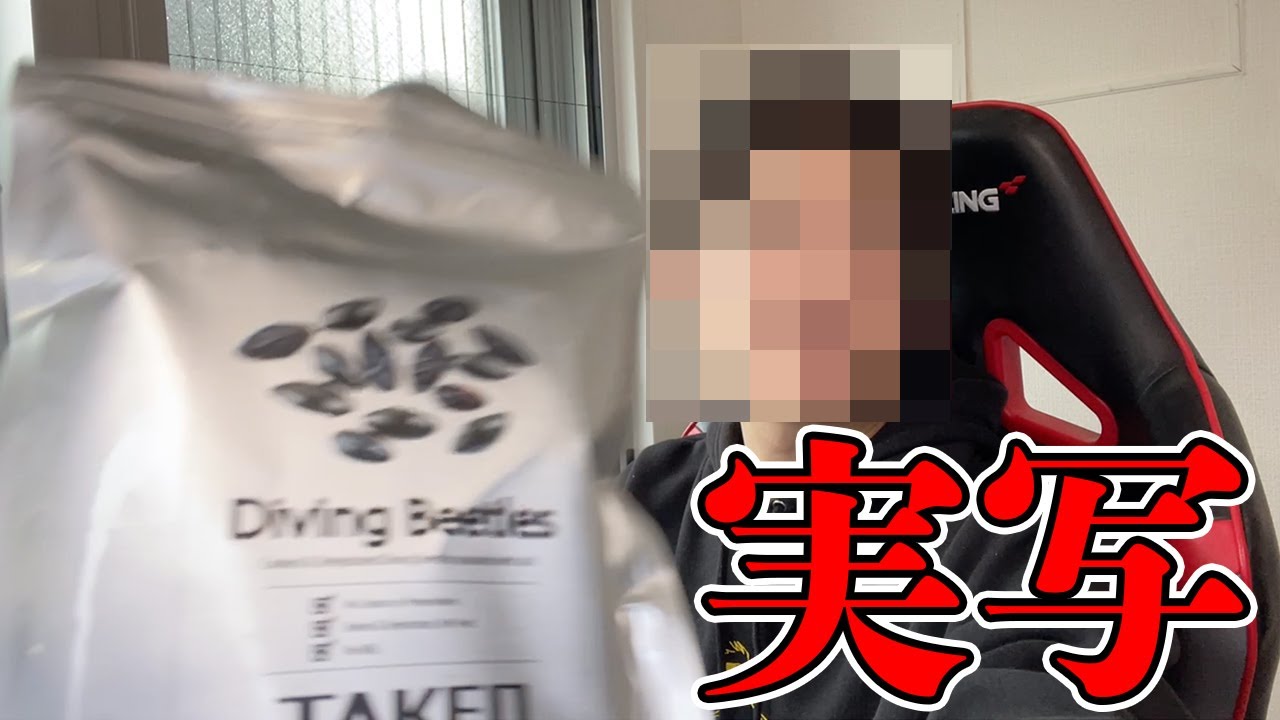 【実写】初めて顔を晒して、虫を食べます