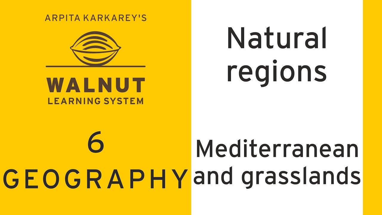 6 Geography - Natural regions - Mediterranean and grasslands