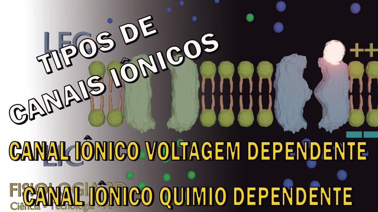 Características dos Canais Iônicos (canais de repouso e canais controlados)