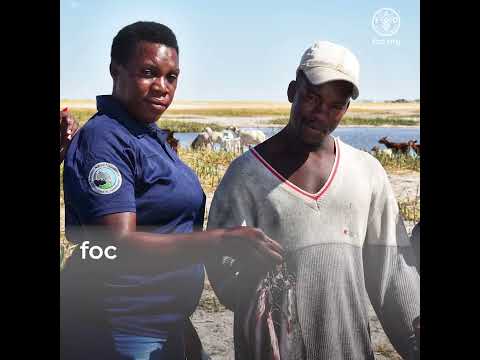 Uplifting Namibia’s Small-Scale Fisheries sub-sector