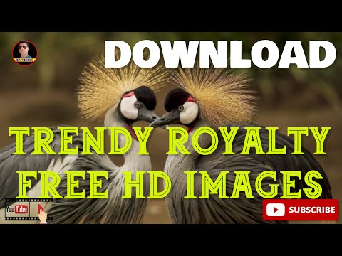 Ritesh Kumar Informative