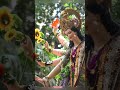 Tere Dar Ko Main Chod Kaha Jau Maa Duja Koi Dwar Na Dikhe Shorts Viral Viralshorts Ytshorts