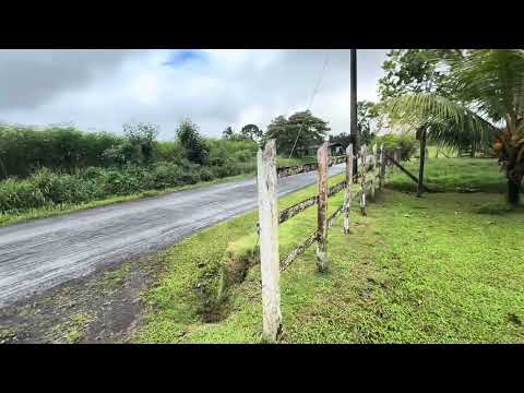 Guatuso, Alajuela, a solo 20 minutos del Parque Nacional Tenorio #realestate #tenorio 