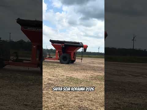 COLHEITA SOJA RR 2026 REGIÃO DE IRACEMA BRASIL