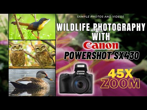 Wildlife Photography with Canon POWERSHOT SX430 📸 30+ HD sample images and videos