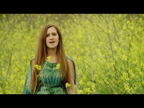 Dirty Projectors  - The Socialites