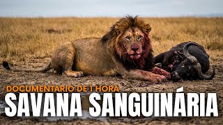 Savana Sanguinária: A Luta Pelo Último Gole de Água – Documentário