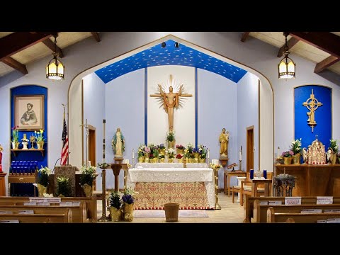 2020-0621 0830 AM MASS 12th SUN. Ordinary Time Livestream St. Richard of Chichester Barnesville PA