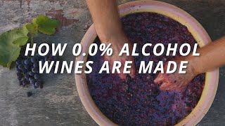 Download lagu Cara Pembuatan Anggur Tanpa Alkohol 0,0% dan Apa yang Membuatnya Berbeda mp3