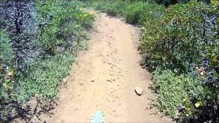 preview picture of video 'Mountain Biking The Sweet Trail Network Behind Kings Beach - ION Video Camera'