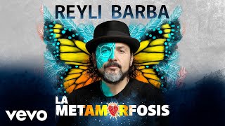 Camino A La Paz Lyrics English Translation