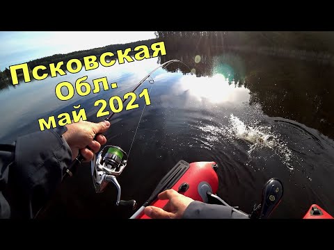 Рыбалка на спиннинг в Псковской области. На озере