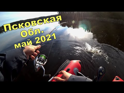 Рыбалка на спиннинг в Псковской области. На озере