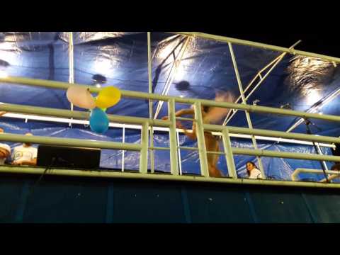 Kyara Freitas - 17• Parada de Campinas 25/06/17