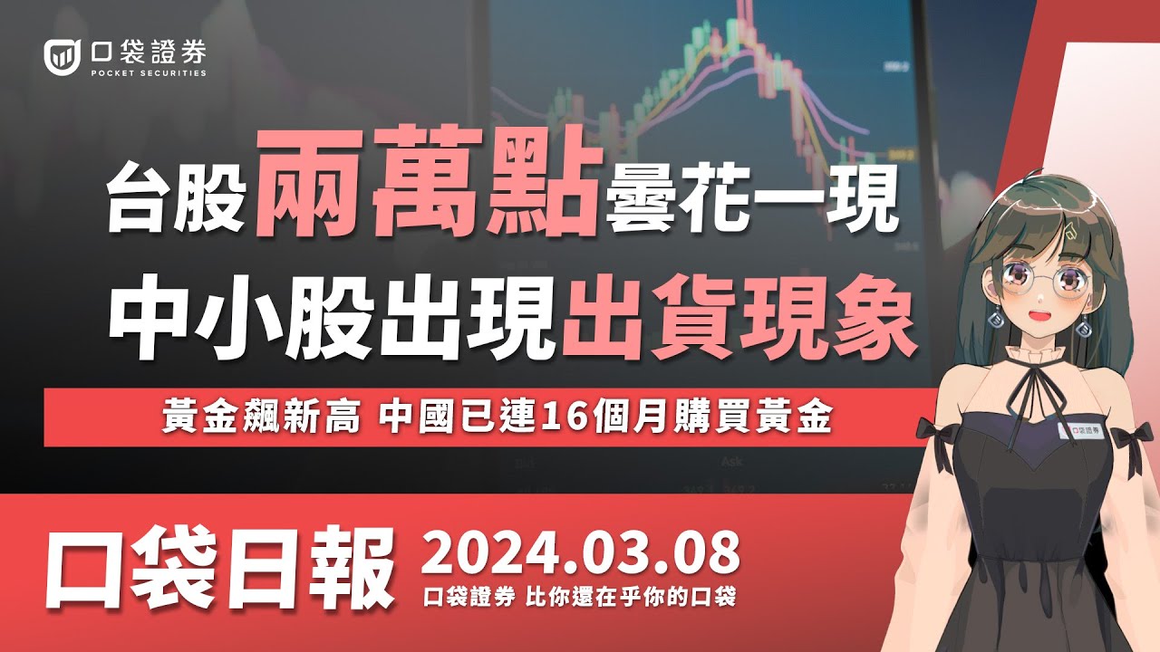 【口袋日報】台股兩萬點曇花一現,中小股出現出貨現象,黃金飆新高,中國已連16個月購買黃金!2024.03.08