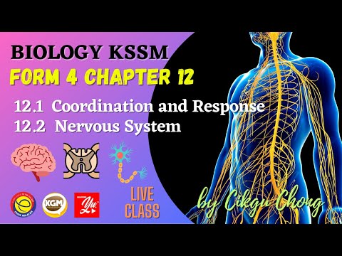 12.1  Coordination and Response & 12.2 Nervous System