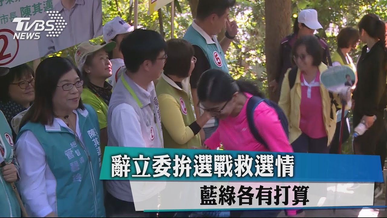 辭立委拚選戰救選情　藍綠各有打算