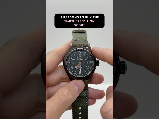 Vídeo relacionado con Timex Expedition Scout - Reloj de 40mm para hombre T49961