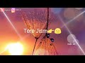 Chor Ninja New Punjabi Whatsapp Status 2020