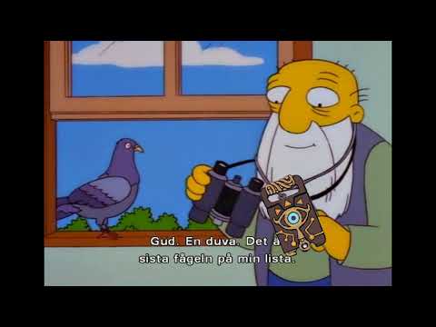 Simpsons BotW Pigeon