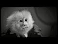 True Love's Flame_ David Lynch made Weirder