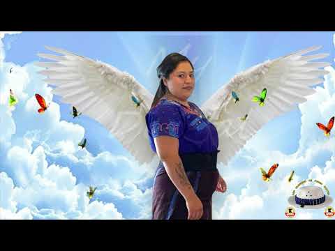 Mi Querida Yolanda Homenaje